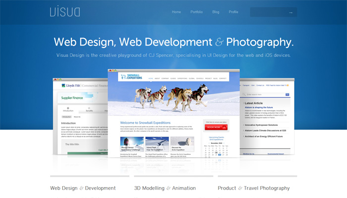 Visua Design